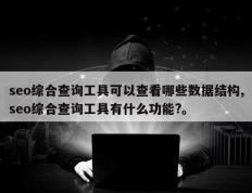 seo综合查询工具可以查看哪些数据结构,seo综合查询工具有什么功能?。