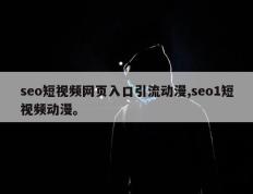 seo短视频网页入口引流动漫,seo1短视频动漫。