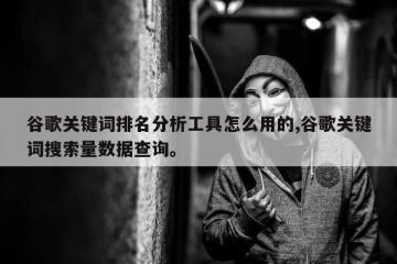 谷歌关键词排名分析工具怎么用的,谷歌关键词搜索量数据查询。