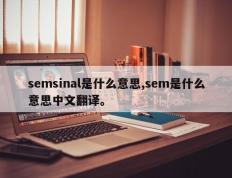 semsinal是什么意思,sem是什么意思中文翻译。