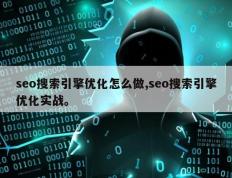 seo搜索引擎优化怎么做,seo搜索引擎优化实战。