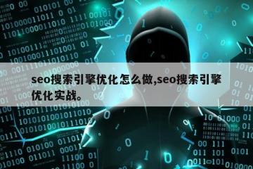 seo搜索引擎优化怎么做,seo搜索引擎优化实战。