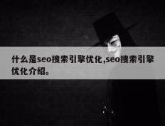 什么是seo搜索引擎优化,seo搜索引擎优化介绍。