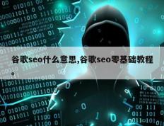 谷歌seo什么意思,谷歌seo零基础教程。