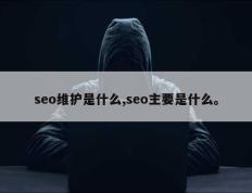 seo维护是什么,seo主要是什么。