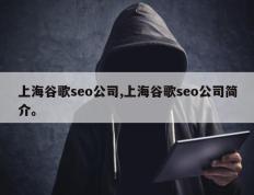 上海谷歌seo公司,上海谷歌seo公司简介。