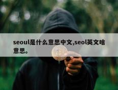 seoul是什么意思中文,seol英文啥意思。