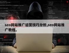 seo网站推广运营技巧分析,seo网站推广教程。
