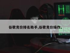 谷歌竞价排名助手,谷歌竞价操作。
