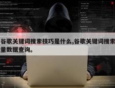 谷歌关键词搜索技巧是什么,谷歌关键词搜索量数据查询。