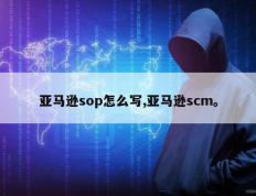 亚马逊sop怎么写,亚马逊scm。