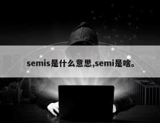 semis是什么意思,semi是啥。