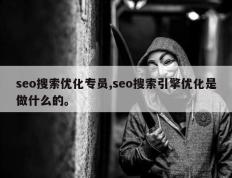 seo搜索优化专员,seo搜索引擎优化是做什么的。