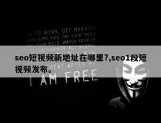 seo短视频新地址在哪里?,seo1段短视频发布。
