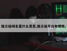 独立站域名是什么意思,独立站平台有哪些。