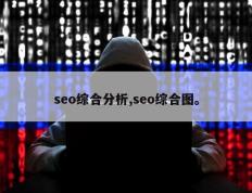 seo综合分析,seo综合图。