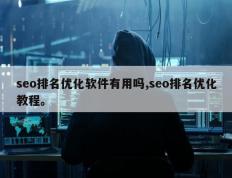 seo排名优化软件有用吗,seo排名优化教程。