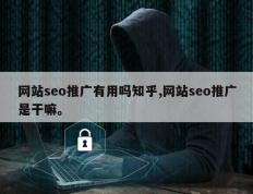 网站seo推广有用吗知乎,网站seo推广是干嘛。