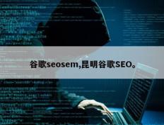 谷歌seosem,昆明谷歌SEO。