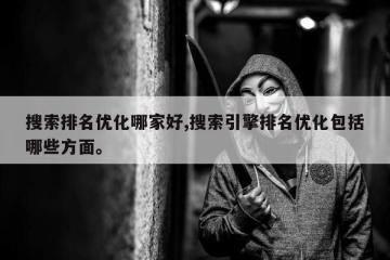 搜索排名优化哪家好,搜索引擎排名优化包括哪些方面。