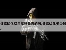 谷歌优化费用高吗是真的吗,谷歌优化多少钱。