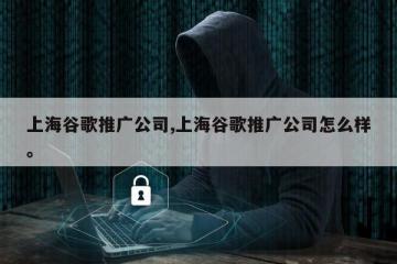 上海谷歌推广公司,上海谷歌推广公司怎么样。