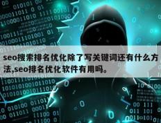 seo搜索排名优化除了写关键词还有什么方法,seo排名优化软件有用吗。