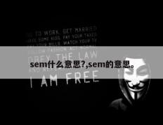 sem什么意思?,sem的意思。