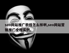 seo网站推广教程怎么样啊,seo网站营销推广全程实例。