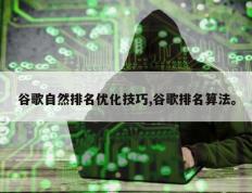 谷歌自然排名优化技巧,谷歌排名算法。