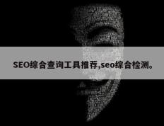 SEO综合查询工具推荐,seo综合检测。