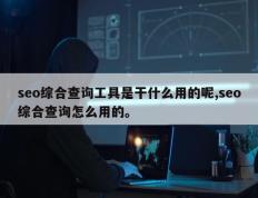 seo综合查询工具是干什么用的呢,seo综合查询怎么用的。