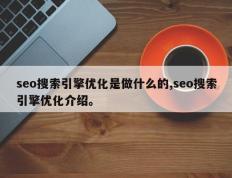 seo搜索引擎优化是做什么的,seo搜索引擎优化介绍。