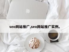 seo网站推广,seo网站推广实例。