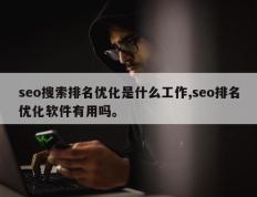 seo搜索排名优化是什么工作,seo排名优化软件有用吗。