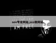 seo专业网站,seo做网站。