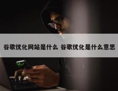 谷歌优化网站是什么 谷歌优化是什么意思