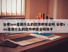 谷歌seo是做什么的软件啊安全吗 谷歌seo是做什么的软件啊安全吗知乎