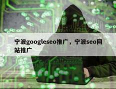 宁波googleseo推广，宁波seo网站推广