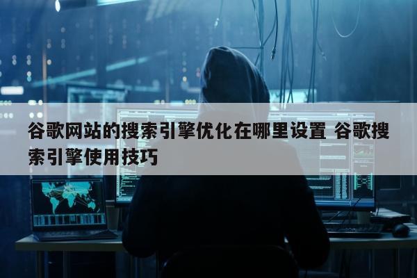 谷歌网站的搜索引擎优化在哪里设置 谷歌搜索引擎使用技巧