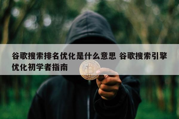 谷歌搜索排名优化是什么意思 谷歌搜索引擎优化初学者指南