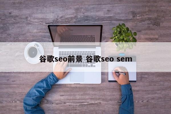 谷歌seo前景 谷歌seo sem