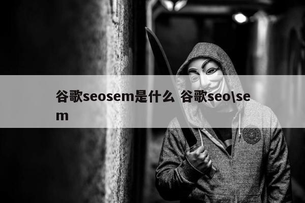 谷歌seosem是什么 谷歌seo\sem