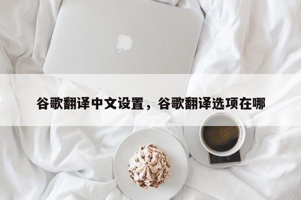 谷歌翻译中文设置	，谷歌翻译选项在哪