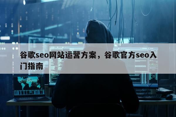 谷歌seo网站运营方案，谷歌官方seo入门指南