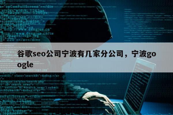 谷歌seo公司宁波有几家分公司，宁波google