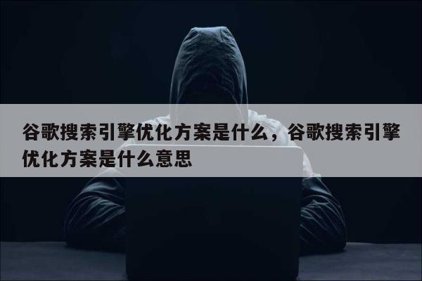 谷歌搜索引擎优化方案是什么，谷歌搜索引擎优化方案是什么意思