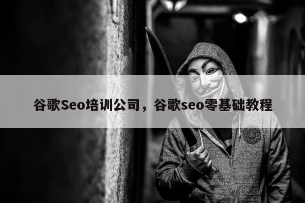 谷歌Seo培训公司	，谷歌seo零基础教程