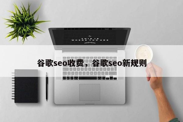 谷歌seo收费，谷歌seo新规则