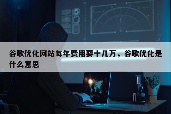 谷歌优化网站每年费用要十几万，谷歌优化是什么意思